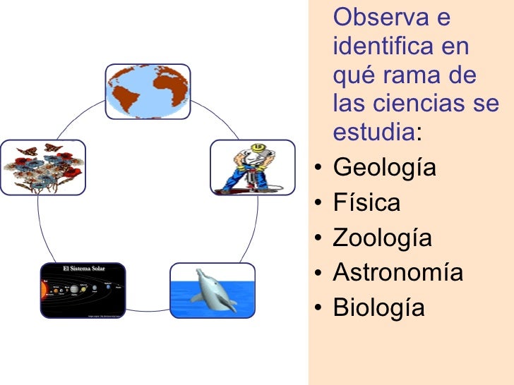 Las Ramas Principales De Las Ciencias Naturales 9no 09 10