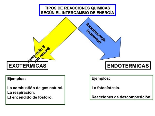 Las reacciones químicas y la energía.