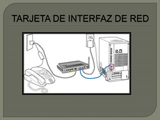 Servidores	Son aquellas computadoras capaces de compartir sus recursos con otras. Los recursos compartidos pueden incluir impresoras, unidades de disco, CD-ROM, directorios en disco duro e incluso archivos individuales. Los tipos de servidores obtienen el nombre dependiendo del recurso que comparten. Algunos de ellos son: servidor de discos, servidor de archivos, servidor de archivos distribuido, servidores de archivos dedicados y no dedicados, servidor de terminales, servidor de impresoras, servidor de discos compactos, servidor web y servidor de correo. 