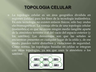 Topología celular