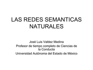 LAS REDES SEMANTICAS NATURALES José Luis Valdez Medina Profesor de tiempo completo de Ciencias de la Conducta Universidad Autónoma del Estado de México 