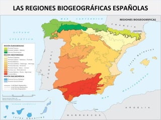 LAS REGIONES BIOGEOGRÁFICAS ESPAÑOLAS

 