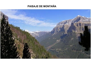 PAISAJE DE MONTAÑA
 