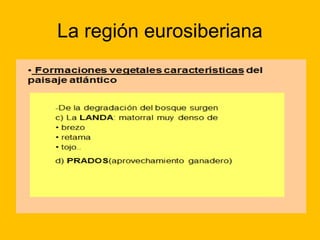 La región eurosiberiana

 