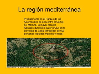 La región mediterránea
Precisamente en el Parque de los
Alcornocales se encuentra el Cortijo
del Marrufo, la mayor fosa de
fusilados durante la Guerra Civil en la
provincia de Cádiz (alrededor de 600
personas incluidos mujeres y niños)

 