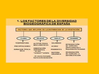 Las regiones biogeográficas de España