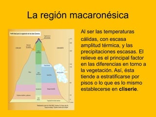 La región macaronésica
Al ser las temperaturas
cálidas, con escasa
amplitud térmica, y las
precipitaciones escasas. El
relieve es el principal factor
en las diferencias en torno a
la vegetación. Así, ésta
tiende a estratificarse por
pisos o lo que es lo mismo
establecerse en cliserie.

 