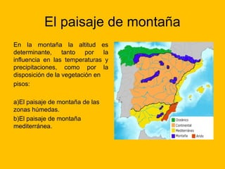 El paisaje de montaña
En la montaña la altitud es
determinante,
tanto
por
la
influencia en las temperaturas y
precipitaciones, como por la
disposición de la vegetación en
pisos:
a)El paisaje de montaña de las
zonas húmedas.
b)El paisaje de montaña
mediterránea.

 