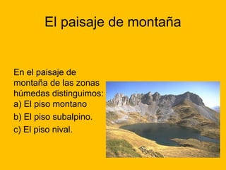 El paisaje de montaña

En el paisaje de
montaña de las zonas
húmedas distinguimos:
a) El piso montano
b) El piso subalpino.
c) El piso nival.

 