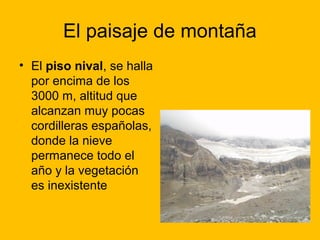 El paisaje de montaña
• El piso nival, se halla
por encima de los
3000 m, altitud que
alcanzan muy pocas
cordilleras españolas,
donde la nieve
permanece todo el
año y la vegetación
es inexistente

 