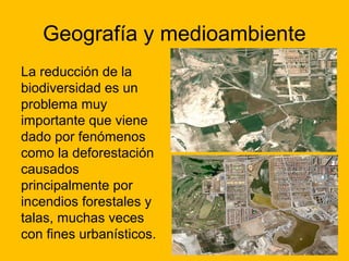 Geografía y medioambiente
La reducción de la
biodiversidad es un
problema muy
importante que viene
dado por fenómenos
como la deforestación
causados
principalmente por
incendios forestales y
talas, muchas veces
con fines urbanísticos.

 