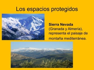 Los espacios protegidos
Sierra Nevada
(Granada y Almería),
representa el paisaje de
montaña mediterránea.

 