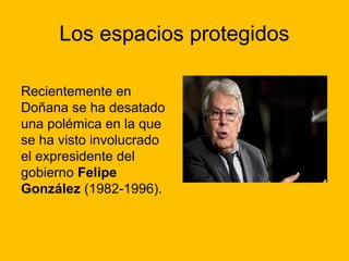Los espacios protegidos
Recientemente en
Doñana se ha desatado
una polémica en la que
se ha visto involucrado
el expresidente del
gobierno Felipe
González (1982-1996).

 