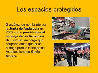 Los espacios protegidos
González fue nombrado por
la Junta de Andalucía en
2009 como presidente del
consejo de participación
del parque, un cargo que
ocupaba antes que él un
biólogo premio Príncipe de
Asturias llamado Ginés
Morata.

 