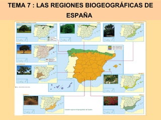 TEMA 7 : LAS REGIONES BIOGEOGRÁFICAS DE
ESPAÑA

 