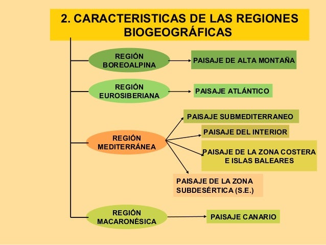 Las regiones biogeográficas de España Tema 7 de Geografia