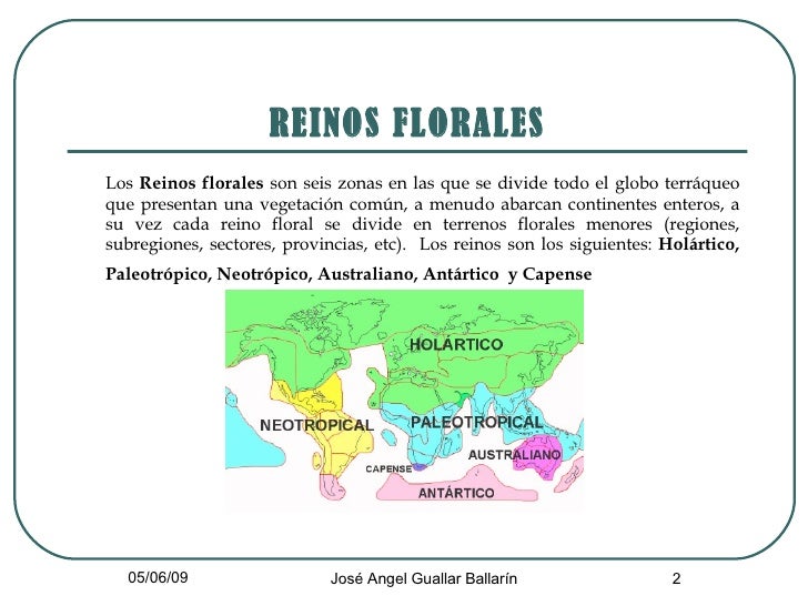 REINOS FLORALES <ul><li>Los  Reinos florales  son seis zonas en las que se divide todo el globo terrÃ¡queo que presentan un...