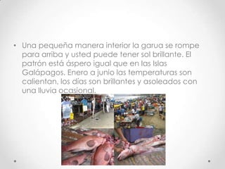 • Una pequeña manera interior la garua se rompe
  para arriba y usted puede tener sol brillante. El
  patrón está áspero igual que en las Islas
  Galápagos. Enero a junio las temperaturas son
  calientan, los días son brillantes y asoleados con
  una lluvia ocasional.
 