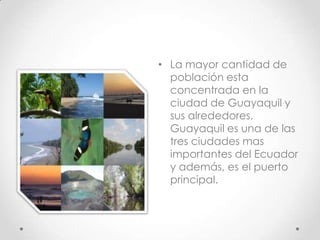 • La mayor cantidad de
  población esta
  concentrada en la
  ciudad de Guayaquil y
  sus alrededores,
  Guayaquil es una de las
  tres ciudades mas
  importantes del Ecuador
  y además, es el puerto
  principal.
 