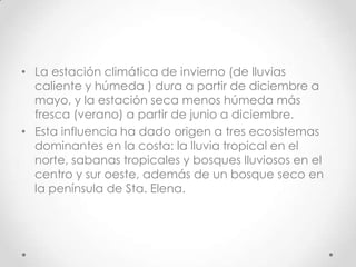• La estación climática de invierno (de lluvias
  caliente y húmeda ) dura a partir de diciembre a
  mayo, y la estación seca menos húmeda más
  fresca (verano) a partir de junio a diciembre.
• Esta influencia ha dado origen a tres ecosistemas
  dominantes en la costa: la lluvia tropical en el
  norte, sabanas tropicales y bosques lluviosos en el
  centro y sur oeste, además de un bosque seco en
  la península de Sta. Elena.
 