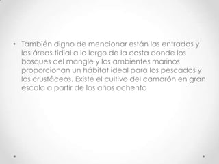 • También digno de mencionar están las entradas y
  las áreas tidial a lo largo de la costa donde los
  bosques del mangle y los ambientes marinos
  proporcionan un hábitat ideal para los pescados y
  los crustáceos. Existe el cultivo del camarón en gran
  escala a partir de los años ochenta
 