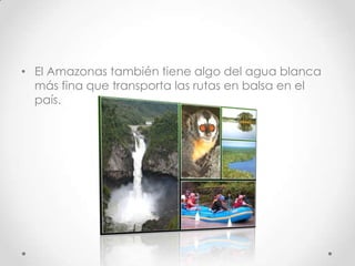 • El Amazonas también tiene algo del agua blanca
  más fina que transporta las rutas en balsa en el
  país.
 