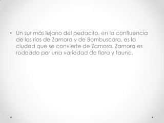 • Un sur más lejano del pedacito, en la confluencia
  de los ríos de Zamora y de Bombuscara, es la
  ciudad que se convierte de Zamora. Zamora es
  rodeado por una variedad de flora y fauna,
 