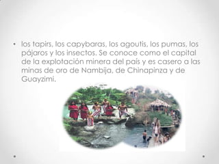 • los tapirs, los capybaras, los agoutis, los pumas, los
  pájaros y los insectos. Se conoce como el capital
  de la explotación minera del país y es casero a las
  minas de oro de Nambija, de Chinapinza y de
  Guayzimi.
 