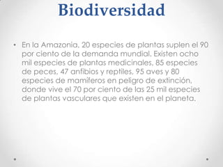 Biodiversidad
• En la Amazonia, 20 especies de plantas suplen el 90
  por ciento de la demanda mundial. Existen ocho
  mil especies de plantas medicinales, 85 especies
  de peces, 47 anfibios y reptiles, 95 aves y 80
  especies de mamíferos en peligro de extinción,
  donde vive el 70 por ciento de las 25 mil especies
  de plantas vasculares que existen en el planeta.
 