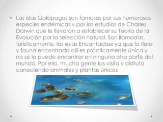 • Las islas Galápagos son famosas por sus numerosas
  especies endémicas y por los estudios de Charles
  Darwin que le llevaron a establecer su Teoría de la
  Evolución por la selección natural. Son llamadas,
  turísticamente, las «islas Encantadas» ya que la flora
  y fauna encontrada allí es prácticamente única y
  no se la puede encontrar en ninguna otra parte del
  mundo. Por ello, mucha gente las visita y disfruta
  conociendo animales y plantas únicos
 