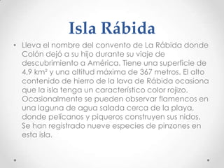 Isla Rábida
• Lleva el nombre del convento de La Rábida donde
  Colón dejó a su hijo durante su viaje de
  descubrimiento a América. Tiene una superficie de
  4,9 km² y una altitud máxima de 367 metros. El alto
  contenido de hierro de la lava de Rábida ocasiona
  que la isla tenga un característico color rojizo.
  Ocasionalmente se pueden observar flamencos en
  una laguna de agua salada cerca de la playa,
  donde pelícanos y piqueros construyen sus nidos.
  Se han registrado nueve especies de pinzones en
  esta isla.
 