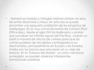 • . Flamencos rosados y tortugas marinas anidan en esta
  isla entre diciembre y mayo, en esta isla se puede
  encontrar una pequeña población de los pingüinos de
  Galápagos. En la muy conocida bahía de Correos (Post
  Office Bay), desde el siglo XVII los balleneros y piratas
  que surcaban las infinitas aguas del Pacífico, usaban un
  barril a manera de oficina de correos para que las
  cartas pudieran ser recogidas y entregadas a sus
  destinatarios, principalmente en Europa y los Estados
  Unidos por los barcos que estuvieran en su viaje de
  retorno. En la "Corona del Diablo", un cono volcánico
  sumergido, se pueden observar interesantes
  formaciones coralinas
 