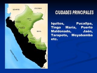 CIUDADES PRINCIPALES Iquitos, Pucallpa, Tingo María, Puerto Maldonado, Jaén, Tarapoto, Moyabamba etc. 