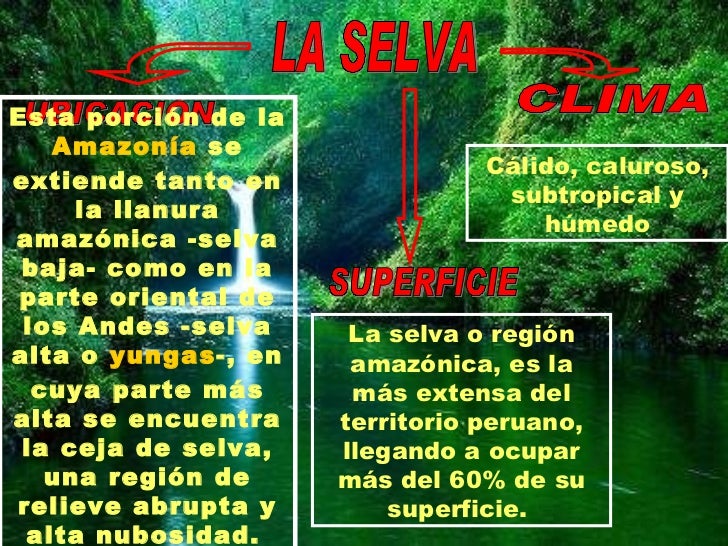 Las Regiones Del Peru