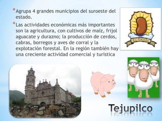 * Agrupa 4 grandes municipios del suroeste del
 estado.
* Las actividades económicas más importantes
 son la agricultura, con cultivos de maíz, frijol
 aguacate y durazno; la producción de cerdos,
 cabras, borregos y aves de corral y la
 explotación forestal. En la región también hay
 una creciente actividad comercial y turística
 