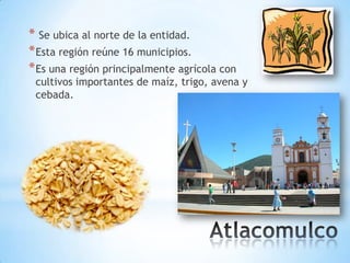 * Se ubica al norte de la entidad.
* Esta región reúne 16 municipios.
* Es una región principalmente agrícola con
 cultivos importantes de maíz, trigo, avena y
 cebada.
 