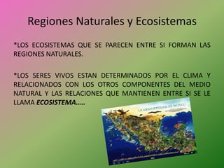 Regiones Naturales y Ecosistemas *LOS ECOSISTEMAS QUE SE PARECEN ENTRE SI FORMAN LAS REGIONES NATURALES. *LOS SERES VIVOS ESTAN DETERMINADOS POR EL CLIMA Y RELACIONADOS CON LOS OTROS COMPONENTES DEL MEDIO NATURAL Y LAS RELACIONES QUE MANTIENEN ENTRE SI SE LE LLAMA ECOSISTEMA…..