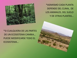 *ASIMISMO CADA PLANTA DEPENDE DEL CLIMA, DE LOS ANIMALES, DEL SUELO Y DE OTRAS PLANTAS…*SI CUALQUIERA DE LAS PARTES DE UN ECOSISTEMA CAMBIA…PUEDE MODIFICARSE TODO EL ECOSISTEMA…