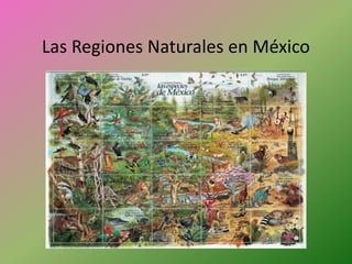 Las Regiones Naturales en México    