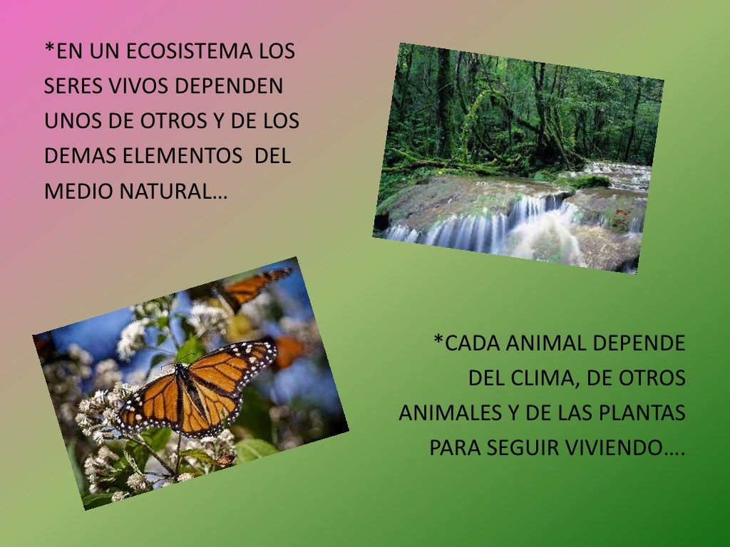 Las regiones naturales