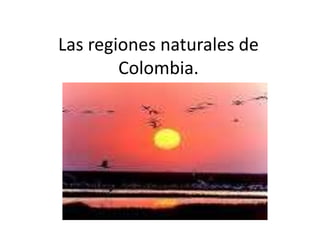 Las regiones naturales de Colombia. 