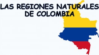 LAS REGIONES NATURALES
DE COLOMBIA
 