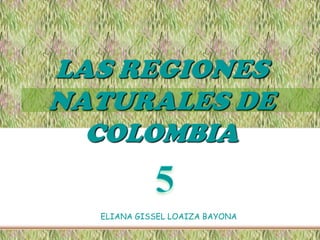 LAS REGIONES NATURALES DE COLOMBIA  5 ELIANA GISSEL LOAIZA BAYONA 