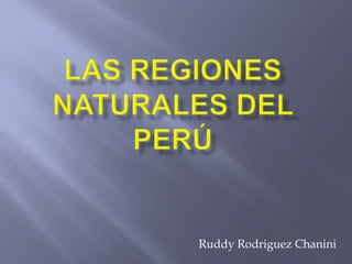 Ruddy Rodriguez Chanini
 