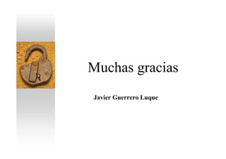Muchas gracias
Javier Guerrero Luque
 