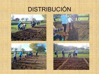 DISTRIBUCIÓN
 