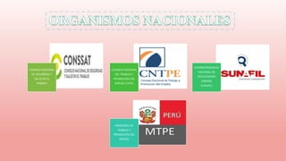 CONSEJO NACIONAL
DE SEGURIDAD Y
SALUD EN EL
TRABAJO
CONSEJO NACIONAL
DEL TRABAJO Y
PROMOCION DEL
EMPLEO (CNTE)
SUPERINTENDENCIA
NACIONAL DE
FISCALIZACION
LABORAL
(SUNAFIL)
MINISTERIO DE
TRABAJO Y
PROMOCION DEL
EMPLEO
 