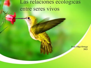 Las relaciones ecologicas
entre seres vivos
Prof. Olga Ortega
2021
 