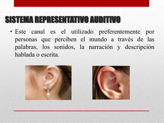 SISTEMA REPRESENTATIVO AUDITIVO
• Este canal es el utilizado preferentemente por
personas que perciben el mundo a través de las
palabras, los sonidos, la narración y descripción
hablada o escrita.
 