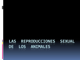 LAS REPRODUCCIONES   SEXUAL
DE LOS ANIMALES
 